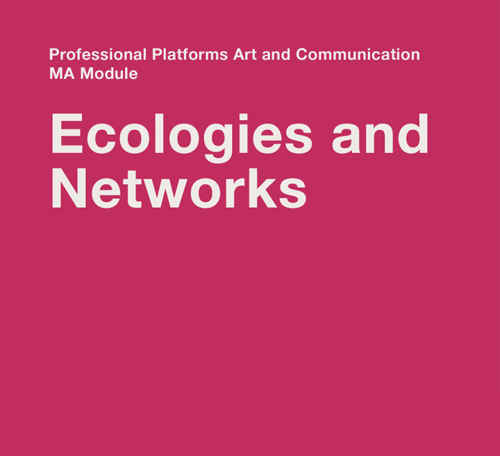 Ecologies and Networks